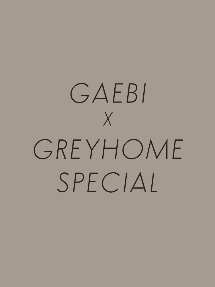 greyhome X GAEBI